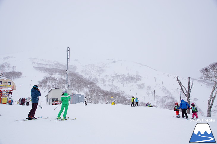 ニセコマウンテンリゾート グラン・ヒラフ　粉雪と千歳ワイナリーの美味しいワインに酔う♪